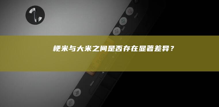 “梗米与大米之间是否存在显著差异？”